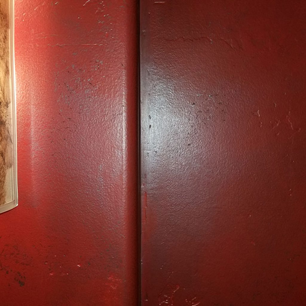 Specialty Wall Texture & Finish